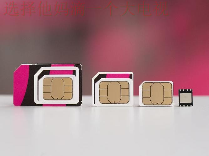 M6APP官网手机版下载入口